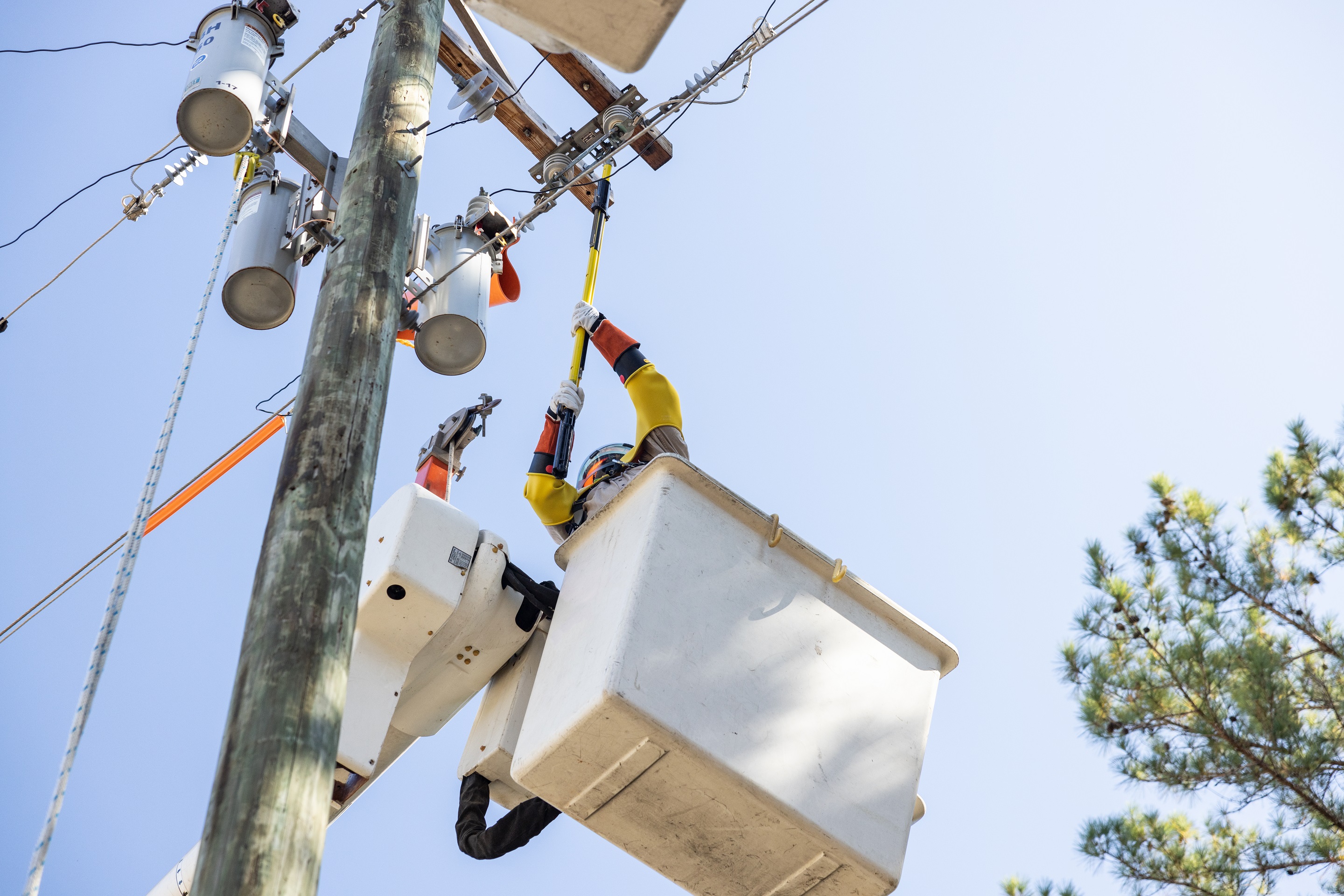 Electrical Safety Catalog Honeywell